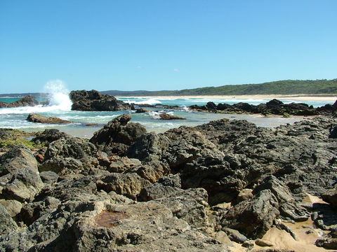 Coastal Walks - Bermagui - Accommodation Sunshine Coast 0