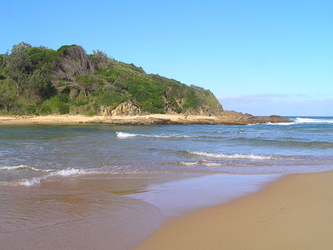 Coastal Walks - Bermagui - Accommodation Sunshine Coast 2