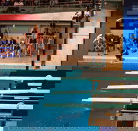 Dive Into History at Sydney Olympic Park Aquatic Centre - Accommodation Sunshine Coast