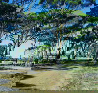 Dumbleyung - Accommodation Sunshine Coast