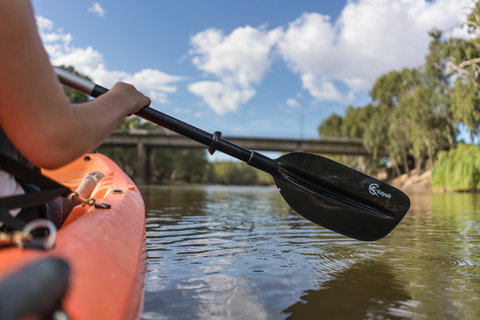 Edward River - Accommodation Sunshine Coast 2