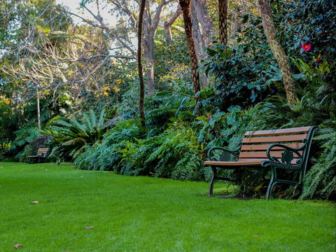 EG Waterhouse National Camellia Gardens - Accommodation Sunshine Coast 0