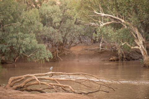 Eulo Town Hole - Accommodation Sunshine Coast 2