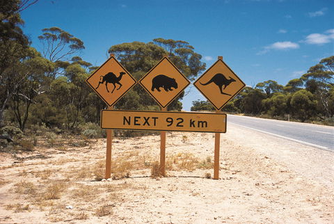 Eyre Highway - Accommodation Sunshine Coast 1
