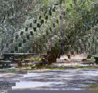 Goonoowigall State Conservation Area - Accommodation Sunshine Coast