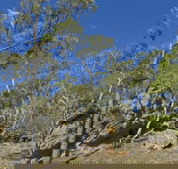 Green track - Accommodation Sunshine Coast