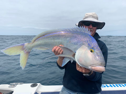 GT Fishing Charters - Accommodation Sunshine Coast 1