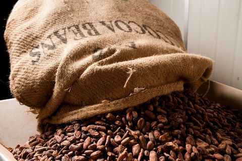 Haigh's Chocolates Visitor Centre - Accommodation Sunshine Coast 2