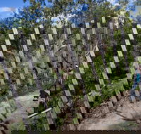 Herring Island Environmental Sculpture Park - Accommodation Sunshine Coast