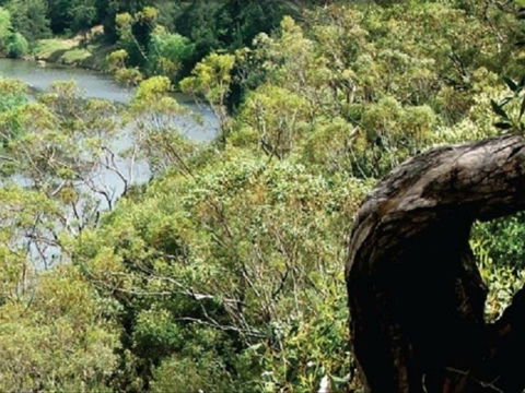 Heuston Lookout - Accommodation Sunshine Coast 0