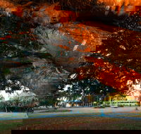 Jubilee Park Mackay - Accommodation Sunshine Coast