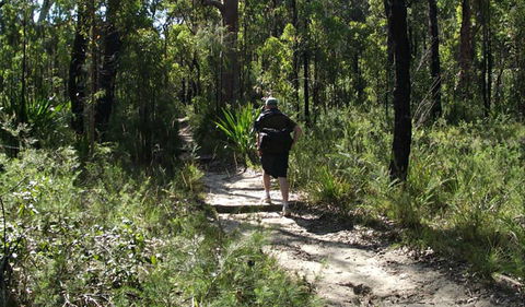 Karloo Walking Track - Accommodation Sunshine Coast 0