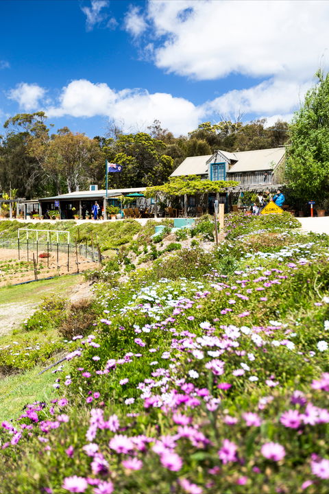 Kate's Berry Farm - Accommodation Sunshine Coast 0