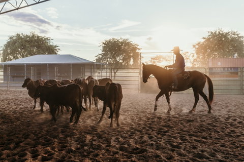 Katherine Outback Experience - Horse Riding Experience - Accommodation Sunshine Coast 2