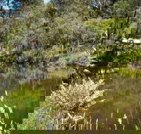Kurth Kiln Regional Park - Accommodation Sunshine Coast