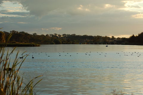 Lake Inverell Reserve - Accommodation Sunshine Coast 0