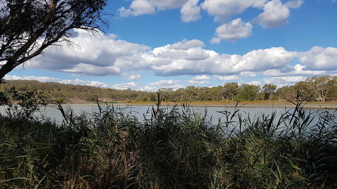 Lake Inverell Reserve - Accommodation Sunshine Coast 1