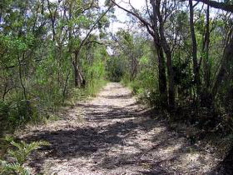 Lanky's Walk - Accommodation Sunshine Coast 0