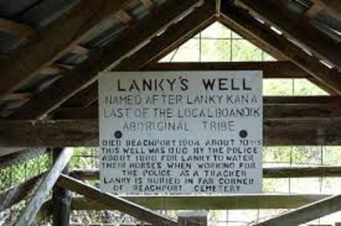 Lanky's Walk - Accommodation Sunshine Coast 1