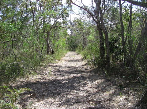 Lanky's Walk - Accommodation Sunshine Coast 2