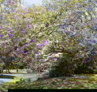 Leis Park - Accommodation Sunshine Coast
