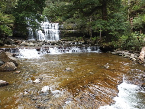 Liffey Falls Reserve - Accommodation Sunshine Coast 1