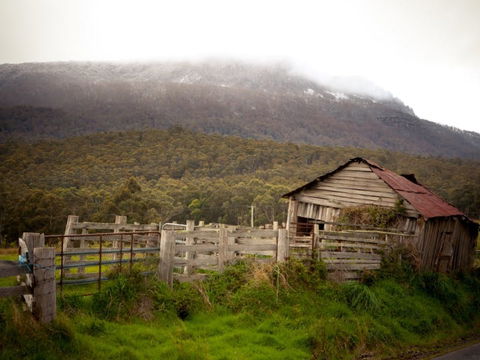 Liffey Falls Reserve - Accommodation Sunshine Coast 2
