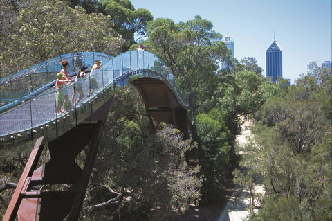 Lotterywest Federation Walkway - Kings Park - Accommodation Sunshine Coast 1