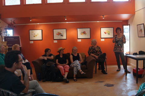 Magpie Springs Gallery - Accommodation Sunshine Coast 1