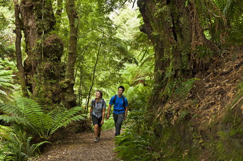 Melba Gully - Accommodation Sunshine Coast 0