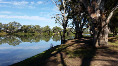 Murray River National Park - Katarapko - Accommodation Sunshine Coast 0