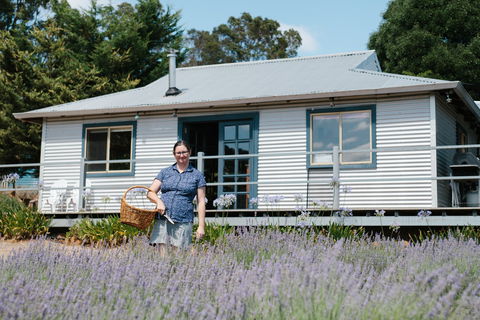 Nannup Lavender Farm - Accommodation Sunshine Coast 1