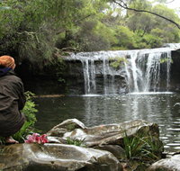 Nellies Glen Picnic Area - Accommodation Sunshine Coast
