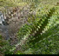 Nightcap National Park - Accommodation Sunshine Coast