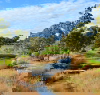 Owen  Hamley Bridge - Accommodation Sunshine Coast
