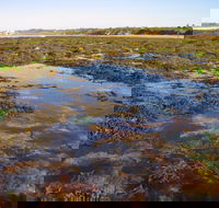 Point Danger Marine Sanctuary - Accommodation Sunshine Coast