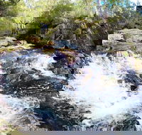 Polblue Falls - Accommodation Sunshine Coast