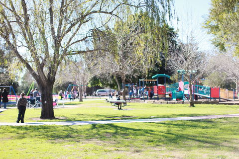 Rose Point Park: All Abilities Playground - Accommodation Sunshine Coast 0