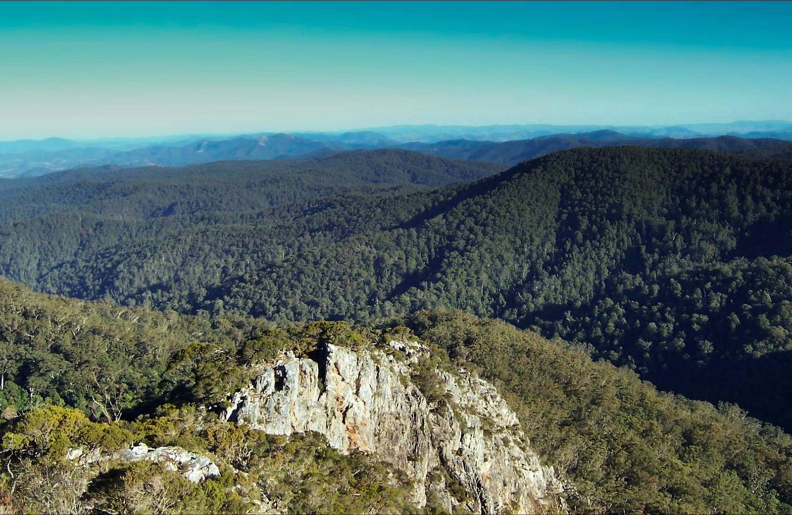 Bulga Forest NSW Accommodation Sunshine Coast