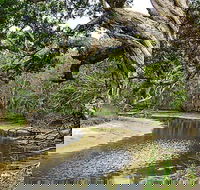 Saltwater National Park - Accommodation Sunshine Coast