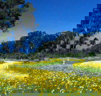 Shearer's Way - Accommodation Sunshine Coast