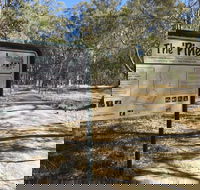 The Pines Conservation Reserve - Accommodation Sunshine Coast