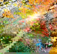 The Blue Mountains Botanic Garden Mount Tomah - Accommodation Sunshine Coast