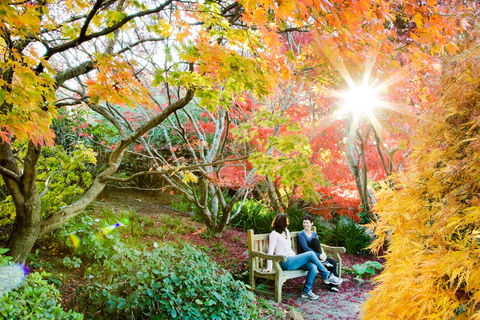 The Blue Mountains Botanic Garden, Mount Tomah - Accommodation Sunshine Coast 0