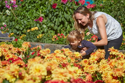 The Blue Mountains Botanic Garden, Mount Tomah - Accommodation Sunshine Coast 1