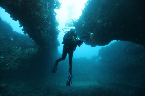The Arches Marine Sanctuary - Accommodation Sunshine Coast 1