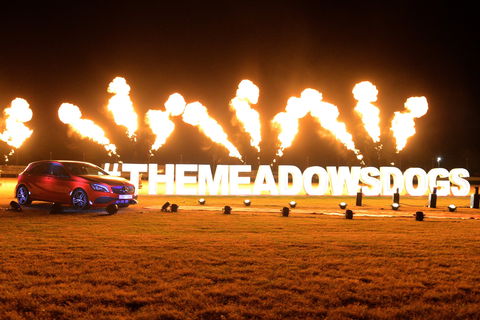 The Meadows - Accommodation Sunshine Coast 2