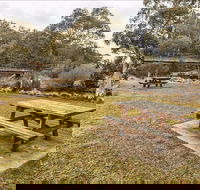 Thredbo River picnic area - Accommodation Sunshine Coast