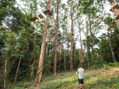 TreeTop Challenge - Sunshine Coast - Accommodation Sunshine Coast 1