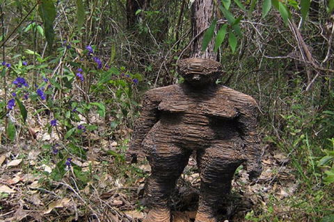 Understory Art In Nature - Accommodation Sunshine Coast 0